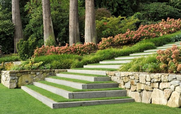 The Art of Landscape Design and the Importance of Maintenance for a Beautiful Outdoor Space